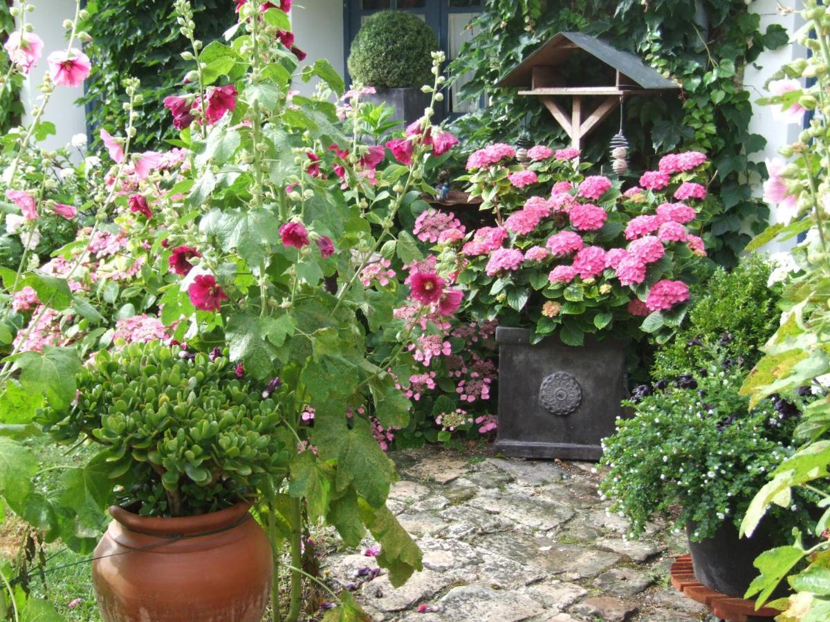 Bed and Breakfast Les Glycines Ury Zewnętrze zdjęcie