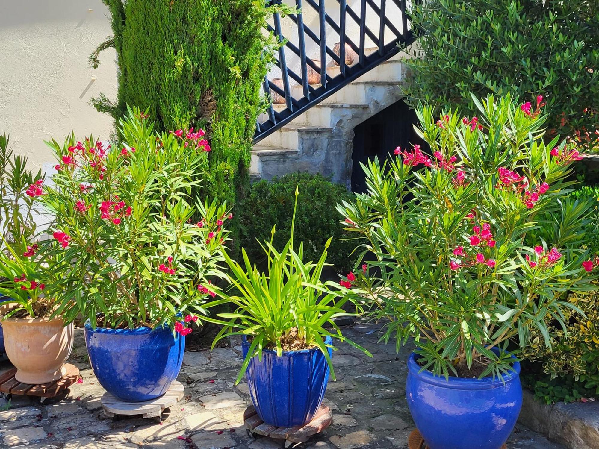 Bed and Breakfast Les Glycines Ury Zewnętrze zdjęcie