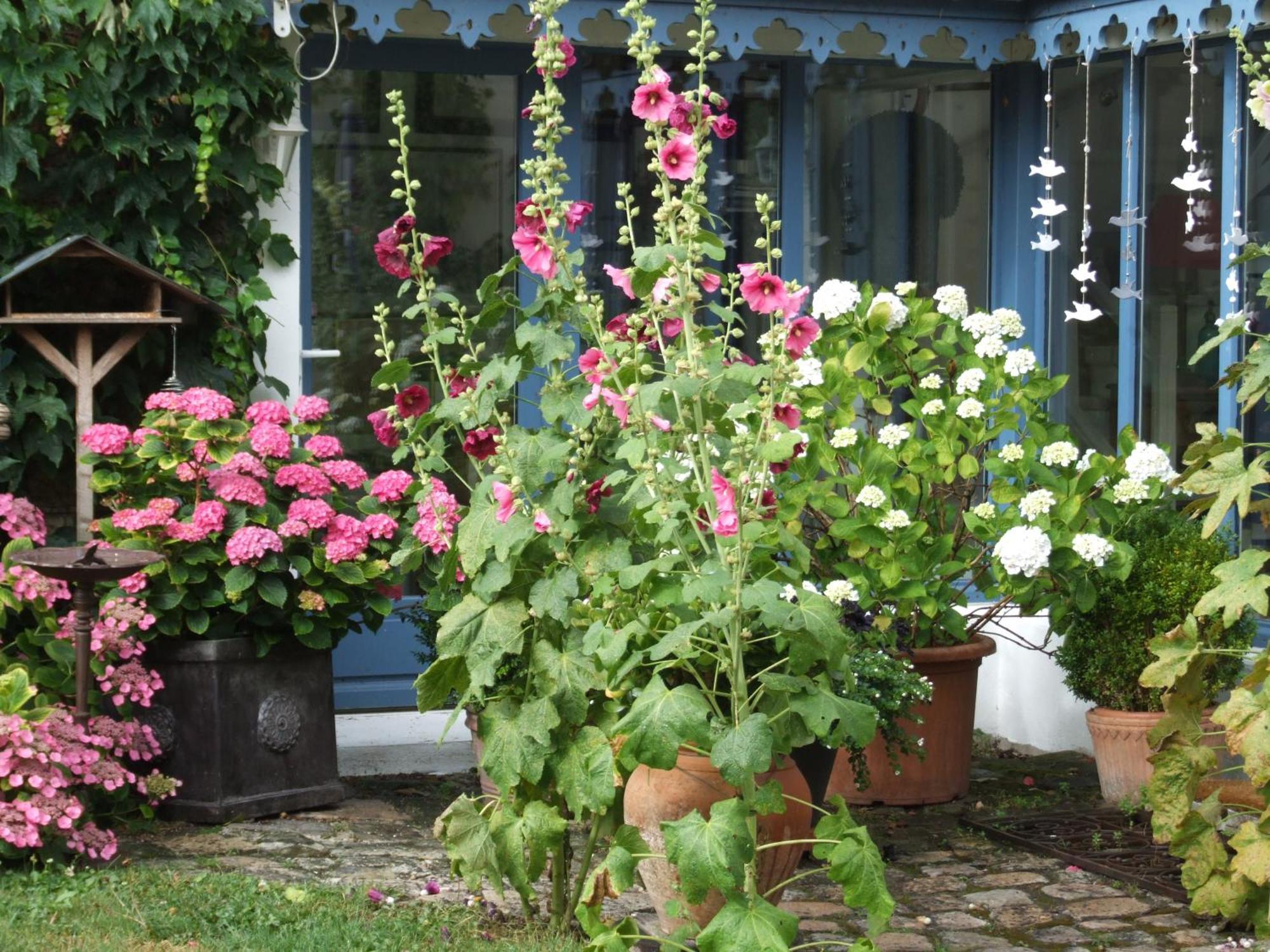 Bed and Breakfast Les Glycines Ury Zewnętrze zdjęcie